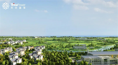 分布式光伏“大浪淘沙” 什么是打造新質(zhì)生產(chǎn)力的關(guān)鍵？