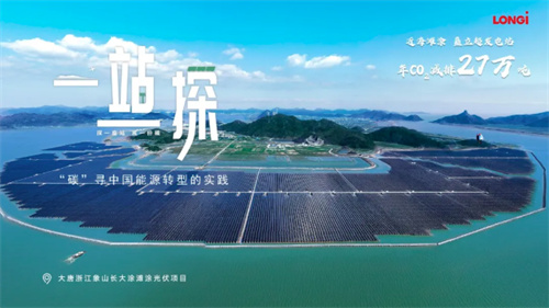 震撼！63.7萬(wàn)塊隆基組件建起灘涂上的鋼鐵森林