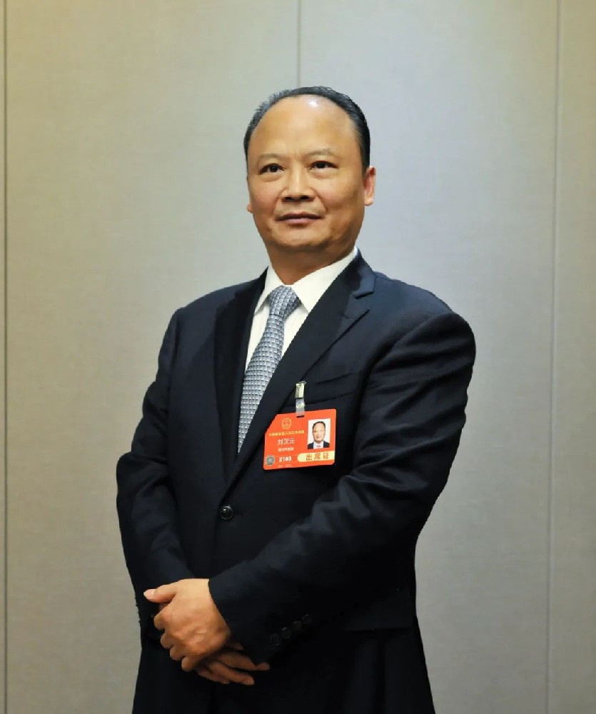 全國人大代表劉漢元：建議擴大國內光伏裝機，推進(jìn) “3060” 目標達成